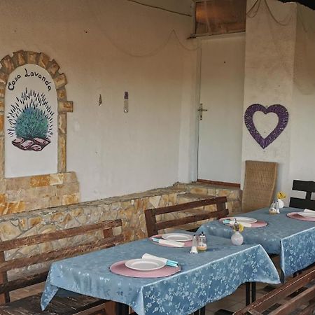 Casa Lavanda - Karin Gornji Gornji Karin Luaran gambar